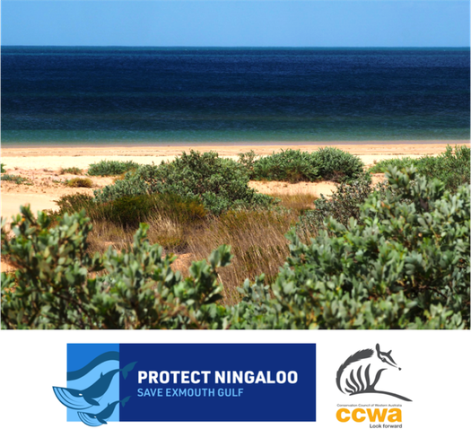 image of Ask the Environment Minister to Protect Ningaloo