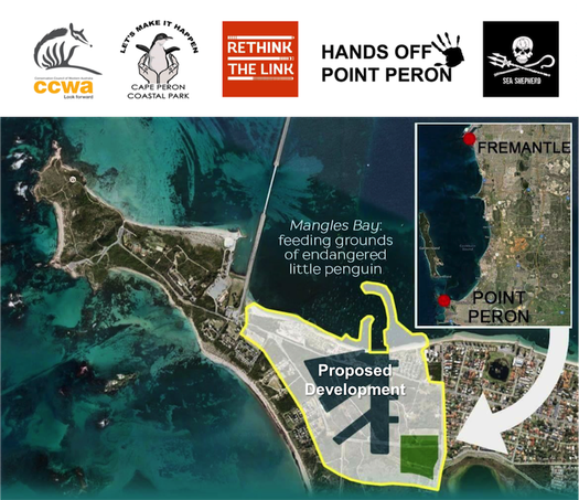 image of Save the Little Penguins of Point Peron